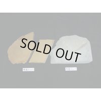 内曇コッパ　1ｋｇ