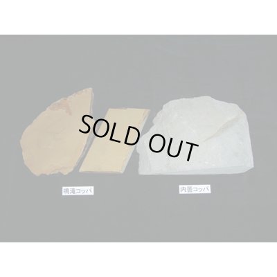 画像1: 内曇コッパ　1ｋｇ