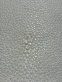 鮫皮　規格外 　大　