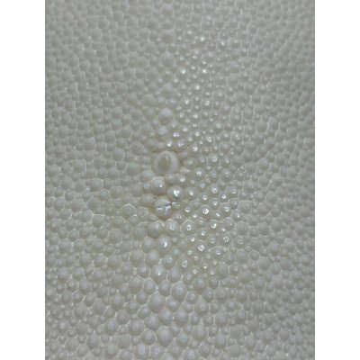 画像1: 鮫皮　規格外 　大　