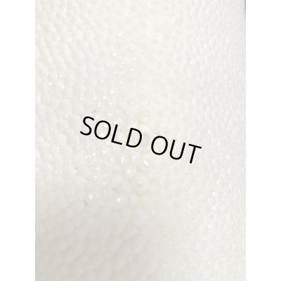 画像4: 鮫皮　規格外 　特大　