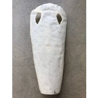 鮫皮　規格外 　大　