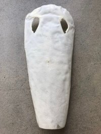 鮫皮　規格外 　大　