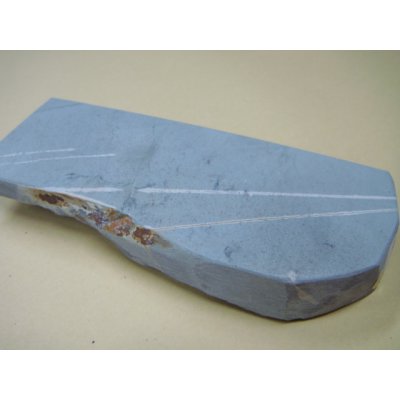 画像6: 内曇砥　￥8000　A