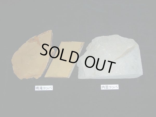 画像1: 内曇コッパ　1ｋｇ (1)