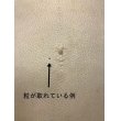 画像3: 鮫皮　規格外 　小　（脇差・短刀用）　 (3)