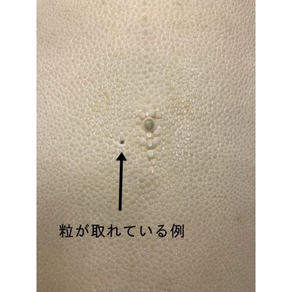 画像3: 鮫皮　規格外 　小　（脇差・短刀用）　 (3)