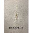 画像4: 鮫皮　規格外 　小　（脇差・短刀用）　 (4)