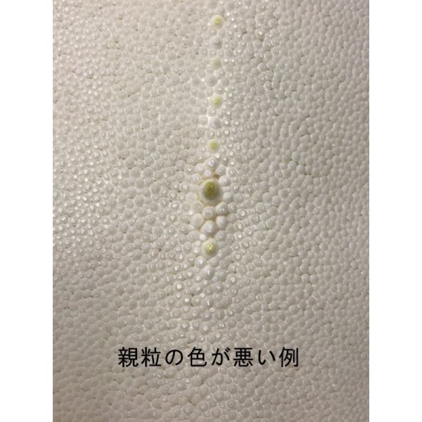 画像4: 鮫皮　規格外 　小　（脇差・短刀用）　 (4)