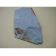 画像6: 内曇砥　￥8000　A (6)
