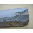 画像9: 内曇砥　￥20000　A (9)