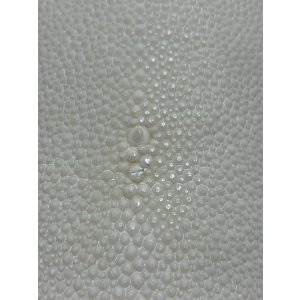 画像: 鮫皮　規格外 　大　