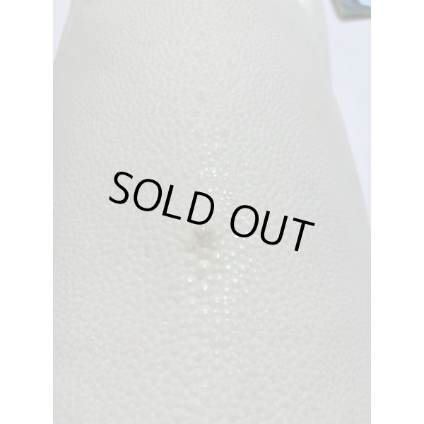 画像3: 鮫皮　規格外 　特大　 (3)