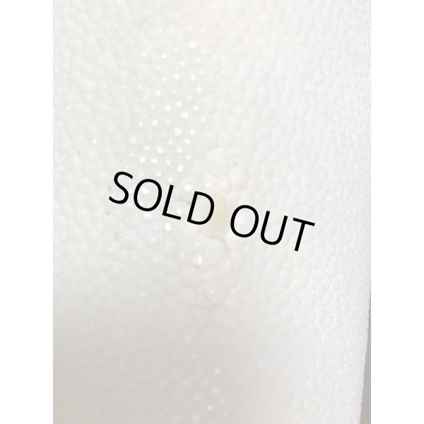 画像5: 鮫皮　規格外 　特大　 (5)