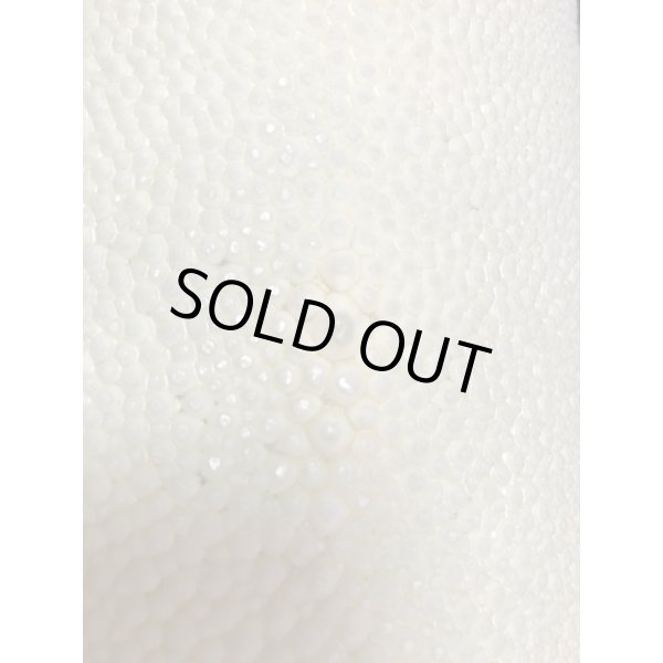 画像4: 鮫皮　規格外 　特大　 (4)