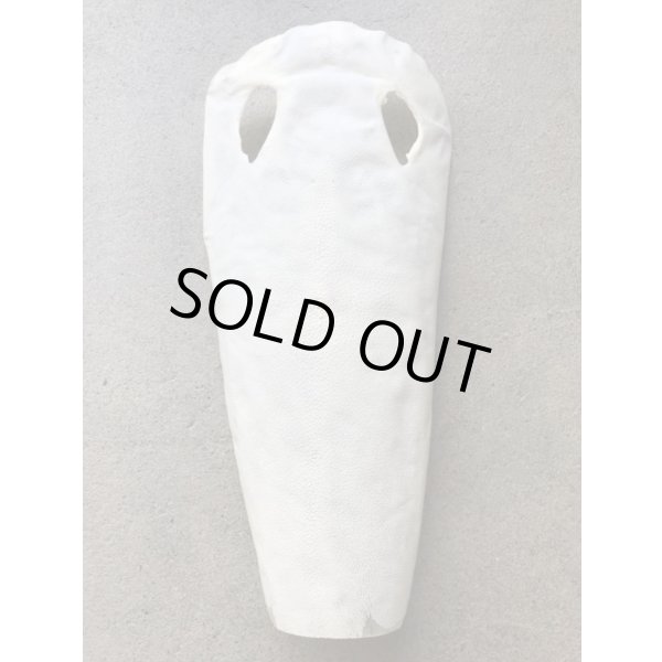 画像1: 鮫皮　規格外 　特大　 (1)