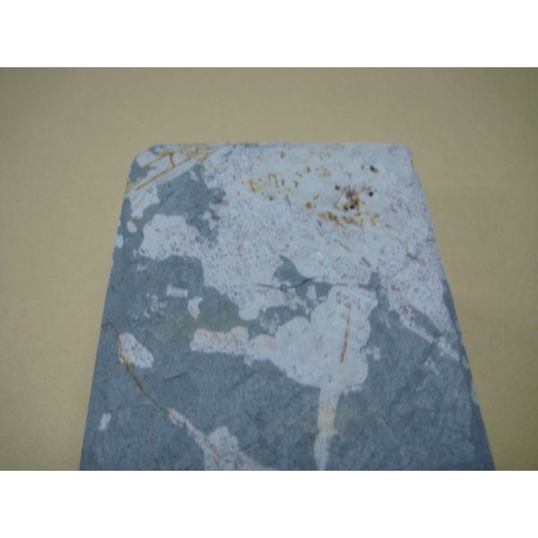 画像9: 内曇砥　￥50000   D (9)